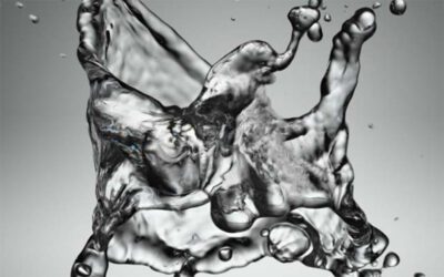 Carolina Liar Coming To Terms